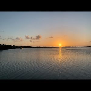 Meet your Posher, Teddi